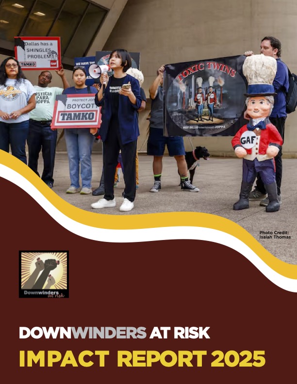 DWAR_ImpactReport_2025 (1)